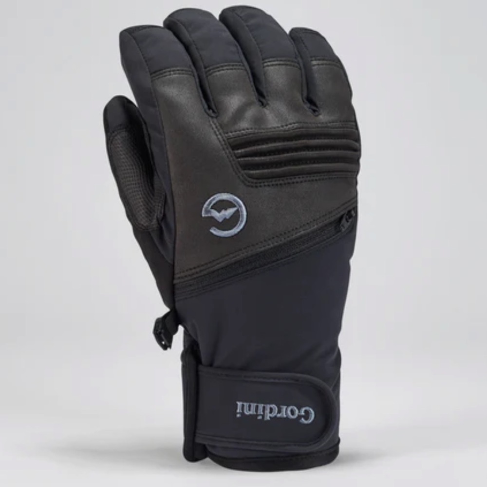 NWT Gordini ski and snowboard gloves.